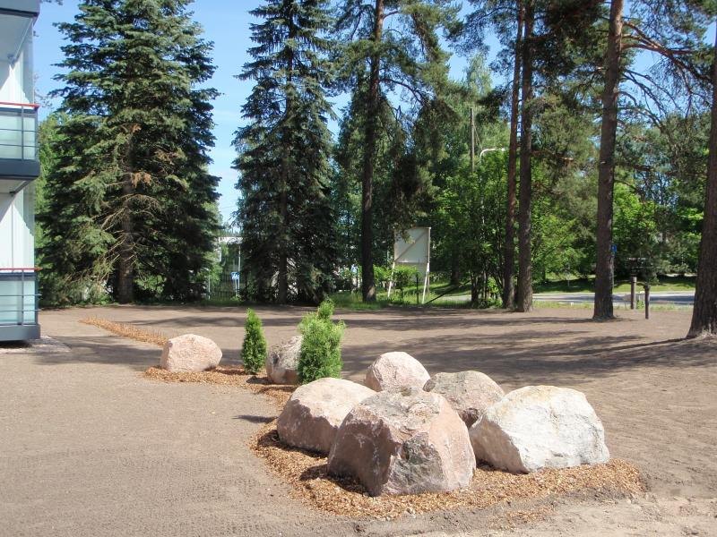 Kiviryhmä ja havut